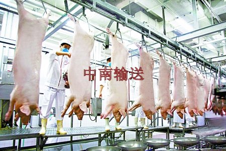 屠宰生產(chǎn)線(xiàn).jpg 屠宰生產(chǎn)線(xiàn).jpg